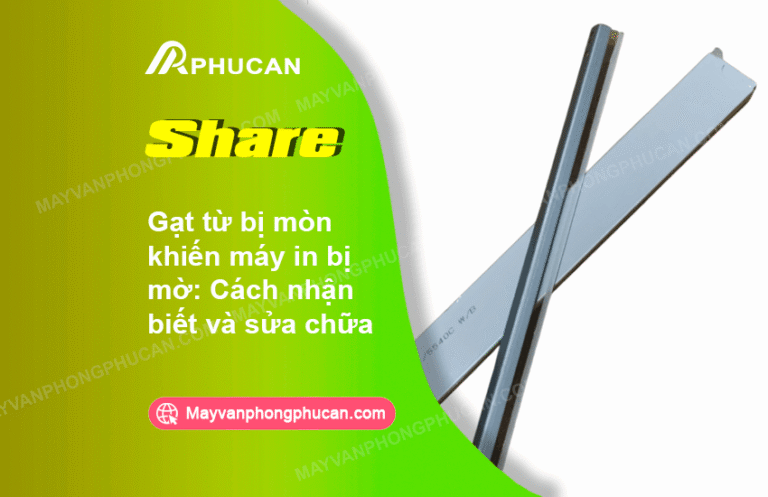 gạt từ bị mòn